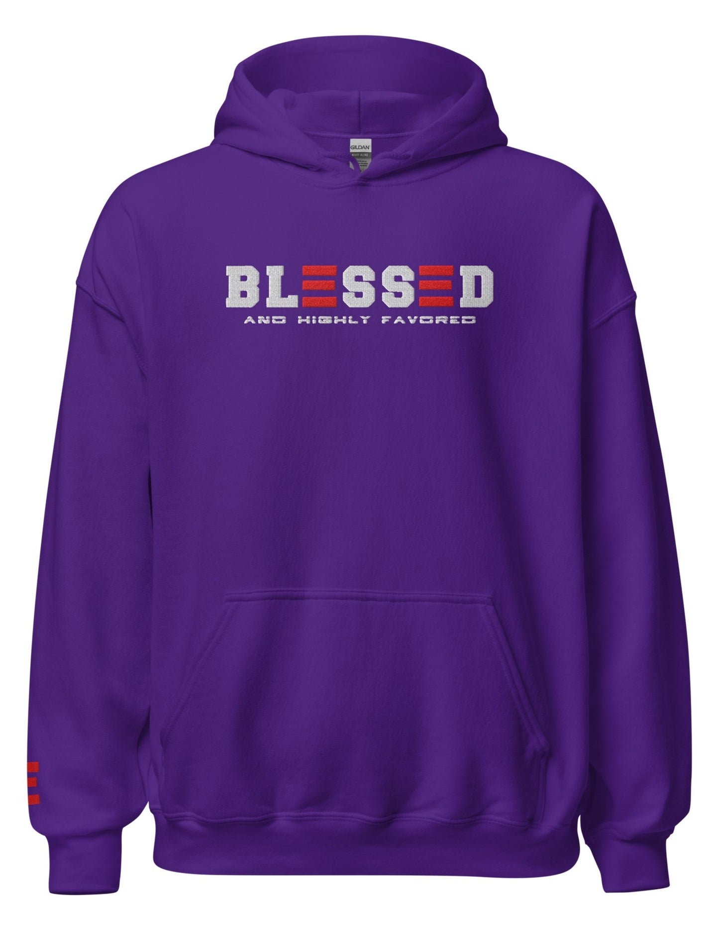 BLESSED and HIGHLY FAVORED UNISEX HOODIE - ES Christian Wear
