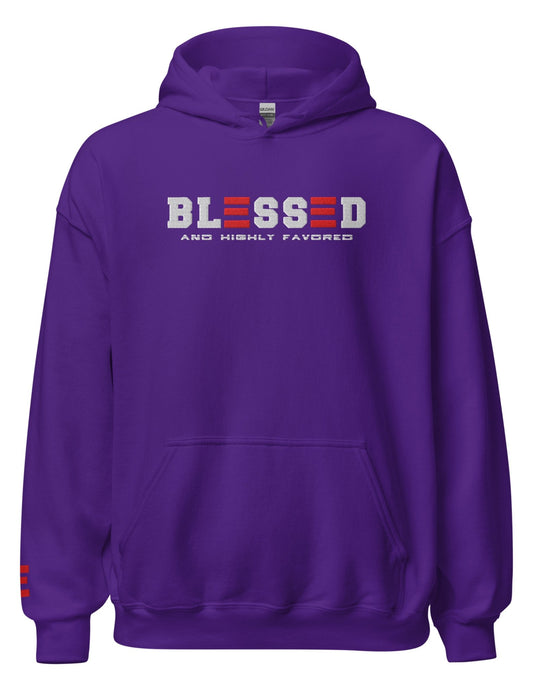 BLESSED and HIGHLY FAVORED UNISEX HOODIE - ES Christian Wear